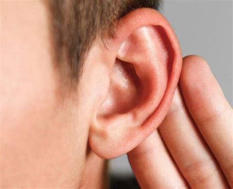 Ha’azinu: Give Ear to the Future — Union of Messianic Jewish Congregations