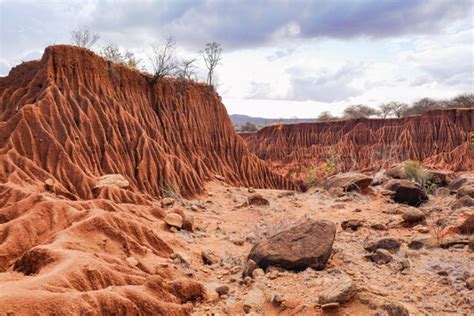 「Nanyuki」の写真素材 | 354件の無料イラスト画像 | Adobe Stock