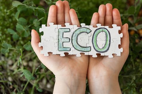 What is an Eco Resort and Why It Matters: Ecotourism and Responsible ...