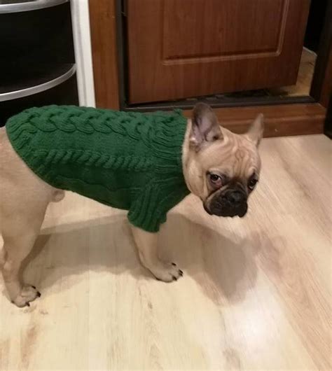 Dog clothes,dog sweater, French Bulldog clothes, Pug clothes - Inspire Uplift