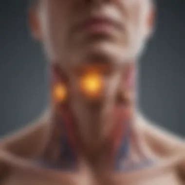 understanding thyroid gland calcification insights