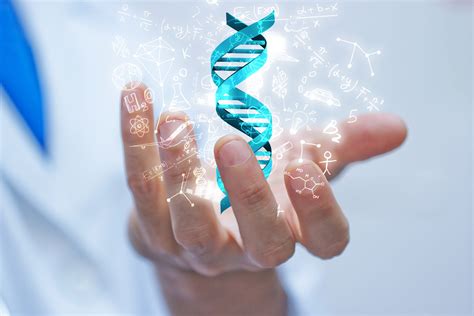 4 Applications for DNA Testing - Endeavor DNA Laboratories