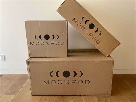 Moon Pod Review: Is the Zero-Gravity Bean Bag Worth It? - My Home Dojo