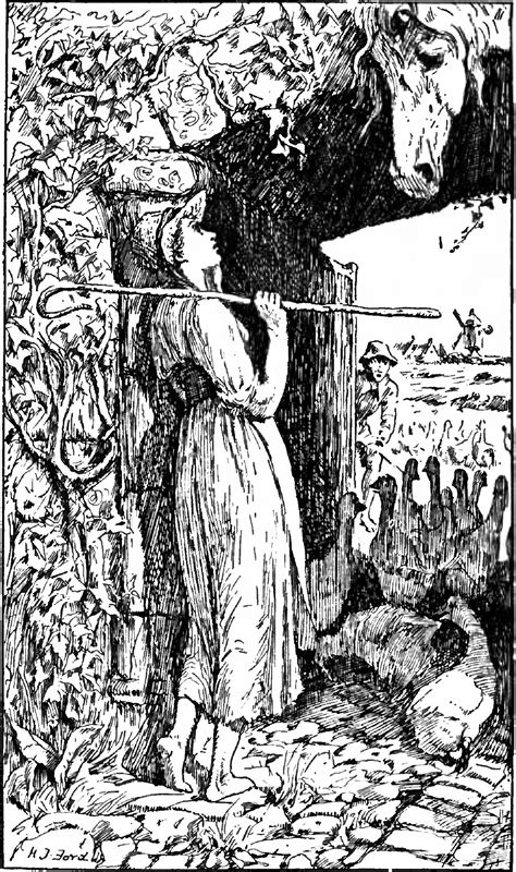 Layla Jenne: The Full Story - Truth or Fiction