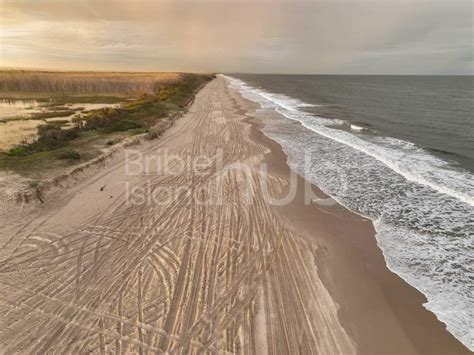 driver fined   driving  protected bribie island dunes