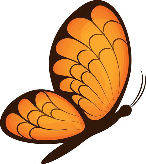 butterfly image   beautiful orange butterfly side view  bright