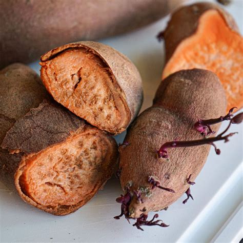 how to tell if sweet potato is bad 7
