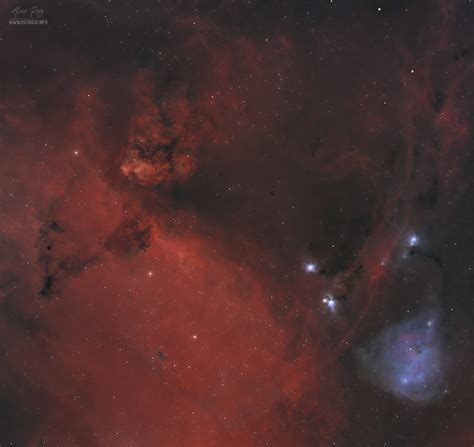 The Cone Nebula wide field | Astrocat