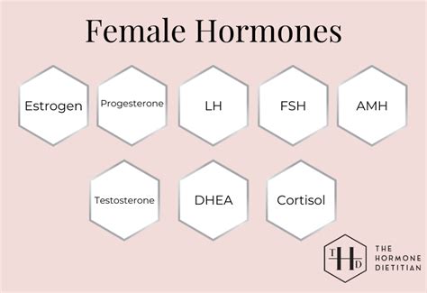 female sex hormones   hormone dietitian
