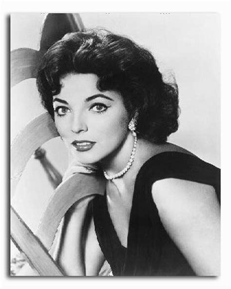 (SS3457129) Movie picture of Pauline Collins buy celebrity photos and