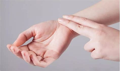 human pulse rate    normal pulse rate  adults
