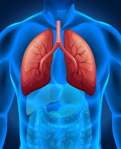 Best Pulmonology Hospital in India | Pulmonology Treatment in India