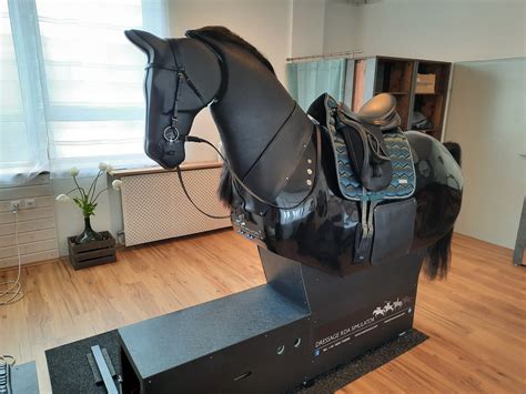 Trockentraining: Reitsimulator in Enns ermöglicht gezieltes Training - Enns