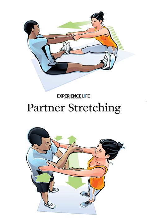Best 13 4 Stretches You Can Do With a Partner – Artofit