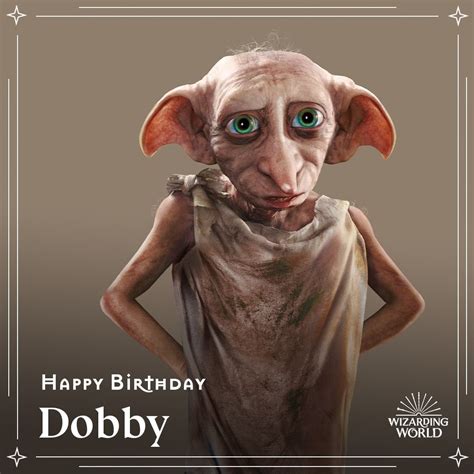 Wizarding World on Instagram: “Join us and raise a sock to wish Dobby a ...