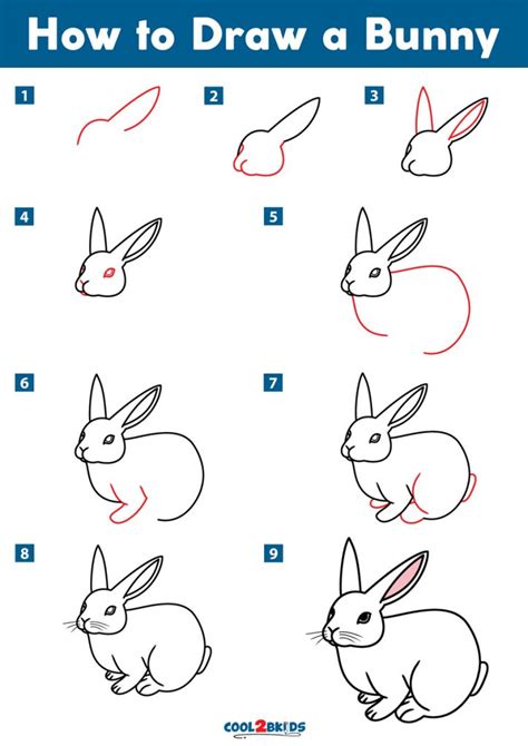 draw  bunny coolbkids
