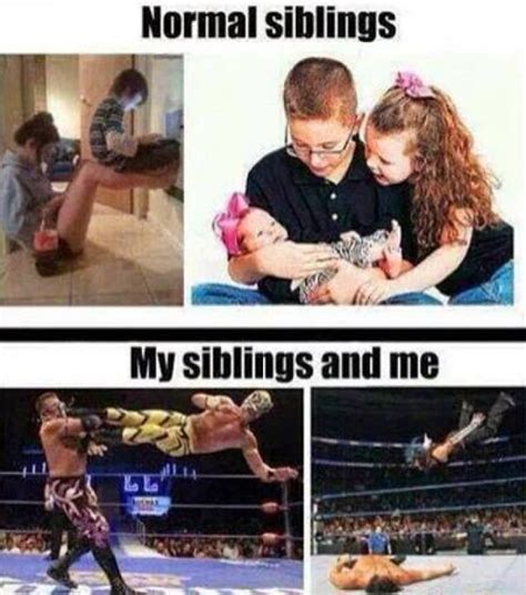 Adult Siblings Fighting With Quotes. QuotesGram