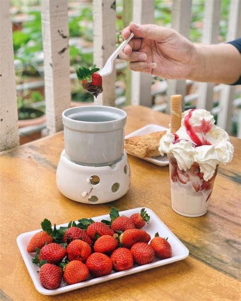 This Cafe In Cameron Highlands Is A Paradise For All Strawberry Lovers ...