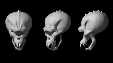 skull modeling