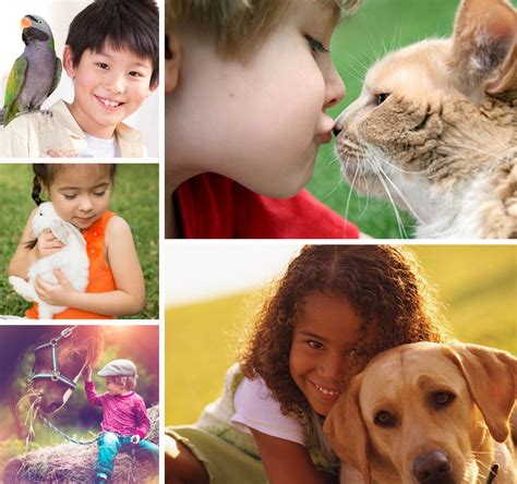 EYE CARE FOR ANIMALS - AKRON - Updated January 2026 - 809 White Pond Dr ...