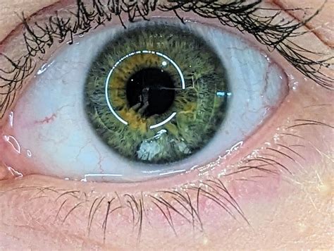 hazel green eye color
