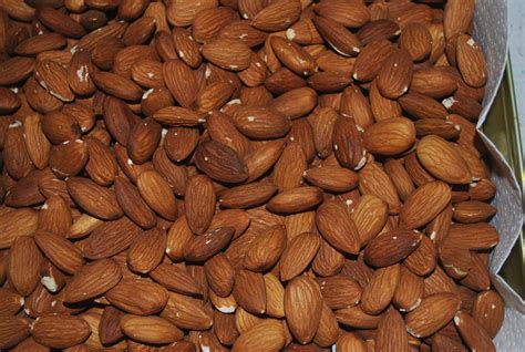 Almonds Free Stock Photo - Public Domain Pictures