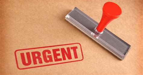 write  application   urgent piece  work  sample