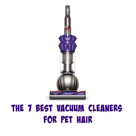 The 7 Best Vacuum Cleaners For Pet Hair - My Brown Newfies