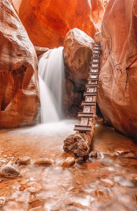 zion national park usa hand luggage