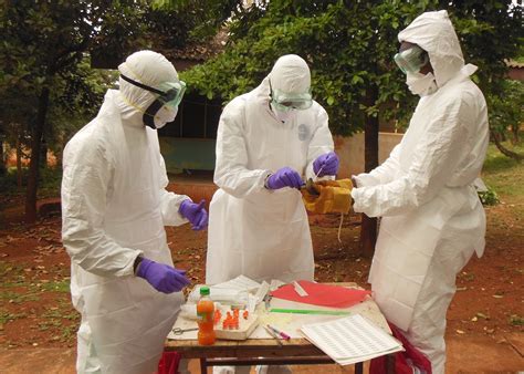 emerging diseases – Michael Lairmore, Dean, Veterinary Medicine