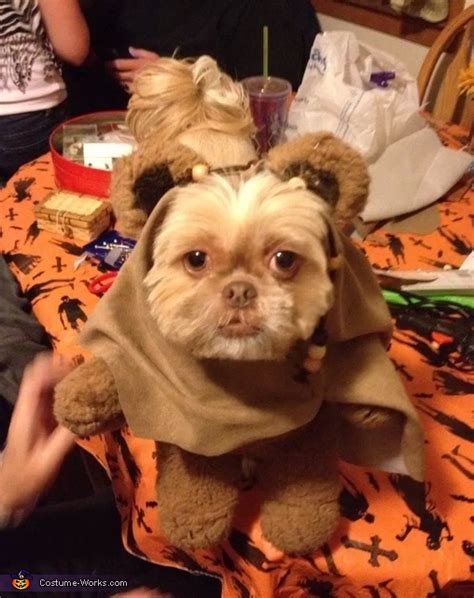 What Is An Ewok Dog