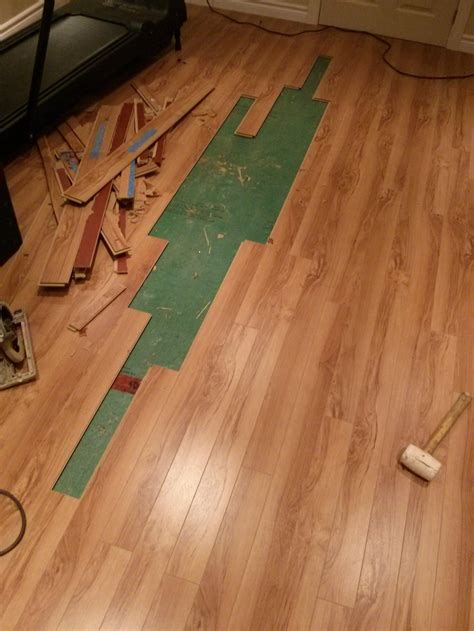 stainmaster laminate flooring 6