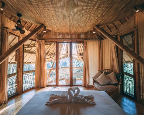 tree house airbnb 5