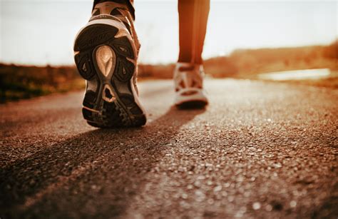 tot el   de saber del xip groc championchip