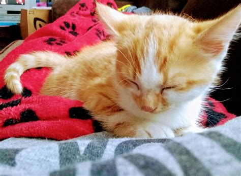 I love watching her sleep peacefully. | Scrolller