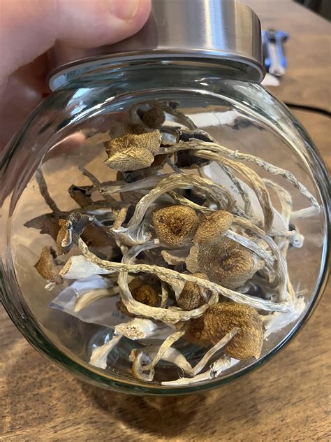 Tried a Psilo-Q test for the first time today. Really happy to know to