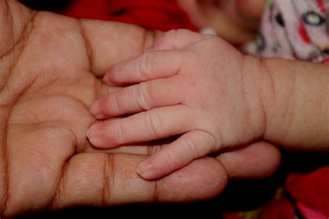Baby Hands Fatherhood - Free photo on Pixabay - Pixabay