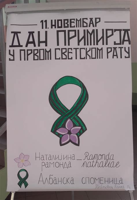 МЕДИЦИНСКА ШКОЛА КРАЉЕВО | Наталијина рамонда као симбол Дана примирја ...