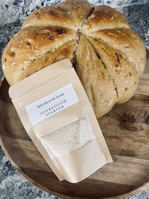 Dehydrated Sourdough Starter: How to Rehydrate Your Starter with
