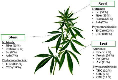 Cannabis sativa Cannabinoids as Functional Ingredients in Snack Foods