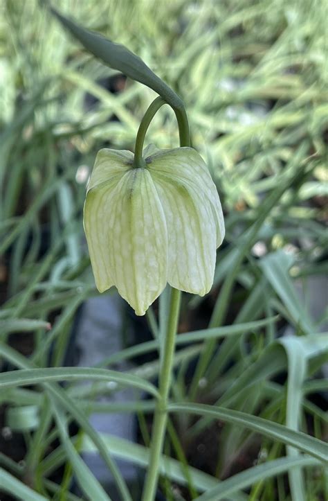 Home [www.hwhyde.co.uk]