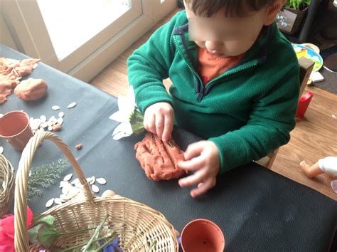 Pre-school Play: Playdough, flowers and seeds.....