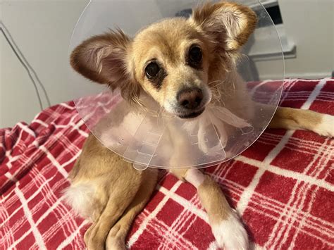 This hidden one site login feature saves you so much time daily 3