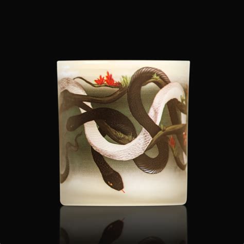 DS Phantom & Co sssnakes, snakes candle – D.S. Phantom & Co.