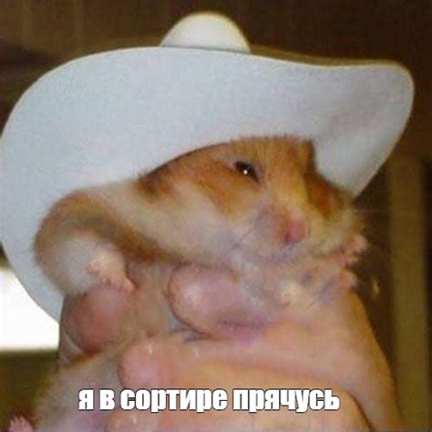 Создать мем "хомяк домашний, хомячок милый, смешные хомячки" - Картинки ...
