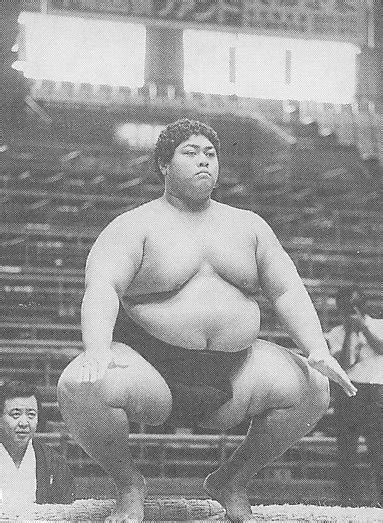 Heaviest sumo wrestler konishiki. a guide to konishiki folding screen