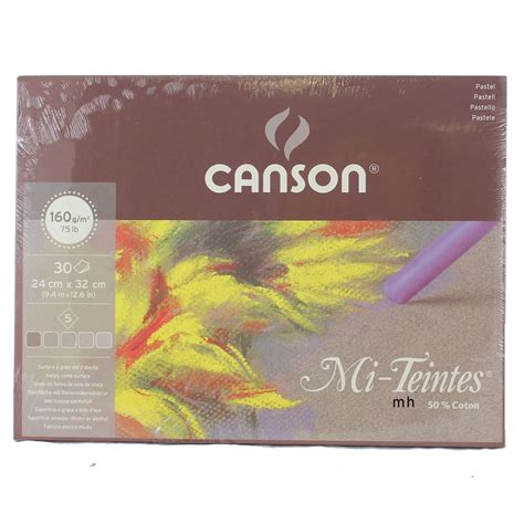 Canson Mi-Teintes Artists Pastel Paper 160gsm Pads Grey Eart White ...