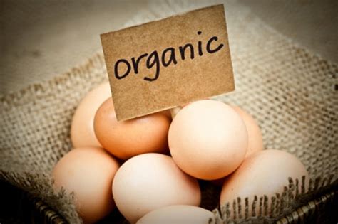 Organic Eggs Available – HR Connect