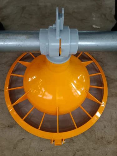 poultry auto feeding system  piece poultry jumbo feeder