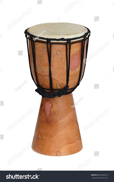 Bongo Bongo Isolated On White Background Stock Photo 660368122 ...